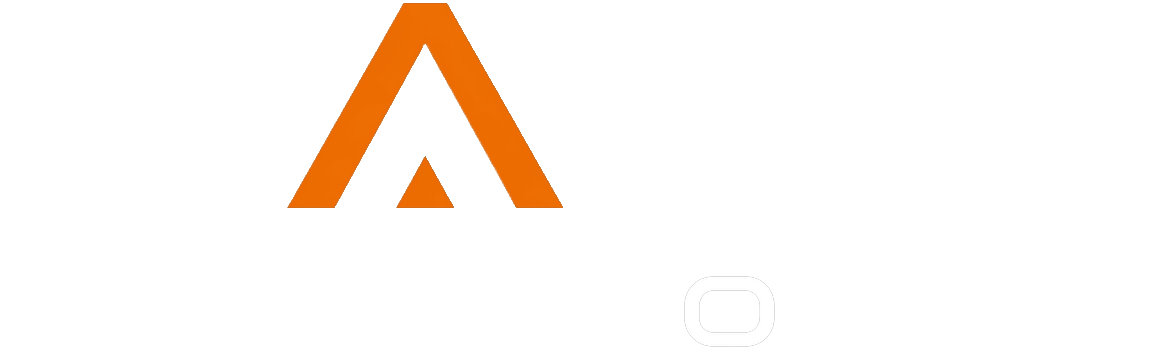 RARO Gestão